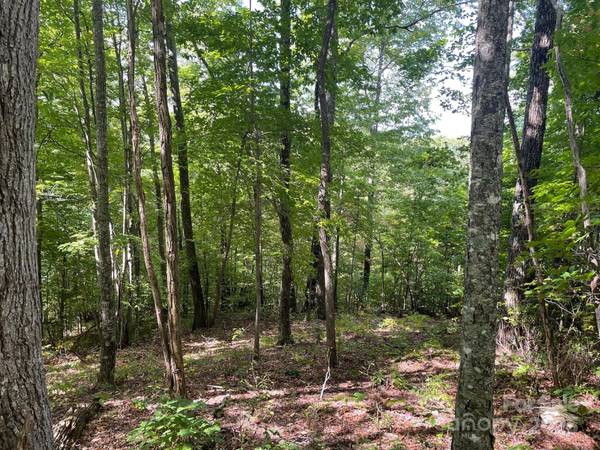 Lt 176 E Reach RD #176, Sylva, NC 28779