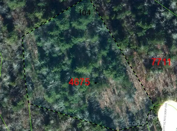Lot 104 Boysenberry DR, Nebo, NC 28761