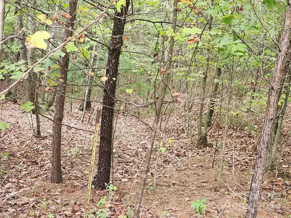 Lot 104 Boysenberry DR, Nebo, NC 28761