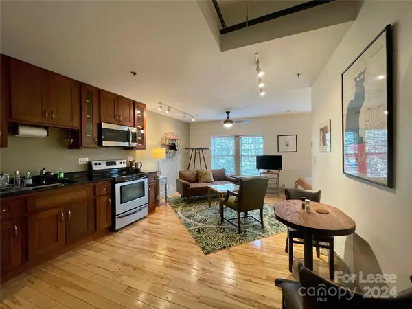 5 W Walnut ST #302, Asheville, NC 28801