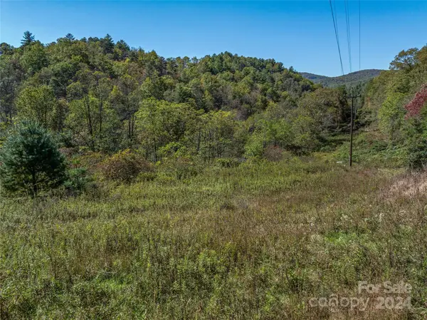 99999 Yager Farms RD, Lake Toxaway, NC 28747