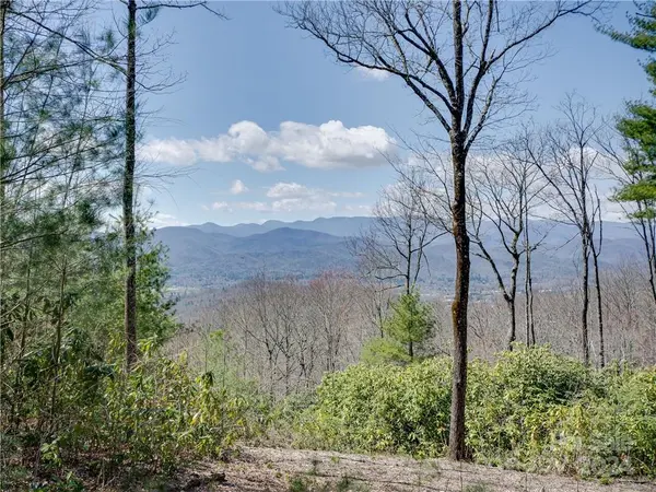8B Reserve RD, Pisgah Forest, NC 28768