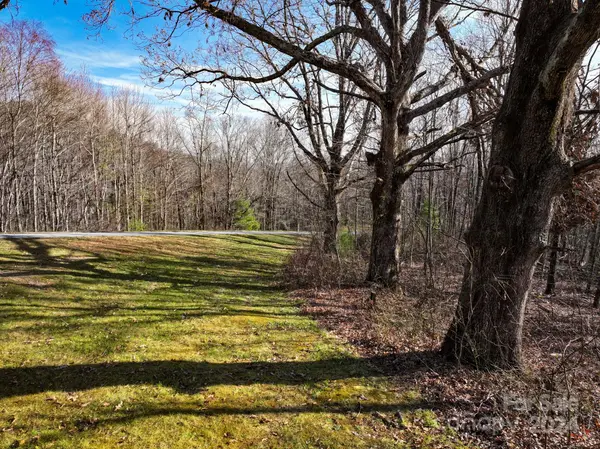 99999 Dancing Bear DR #53, Hendersonville, NC 28792