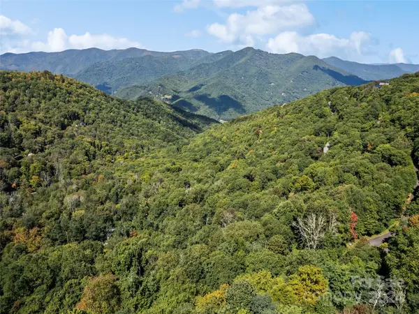 Lot G42 Odalu TRL #G42, Maggie Valley, NC 28751
