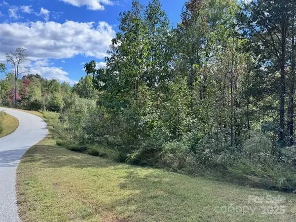 V/L Ridge Point RD #9, Nebo, NC 28761