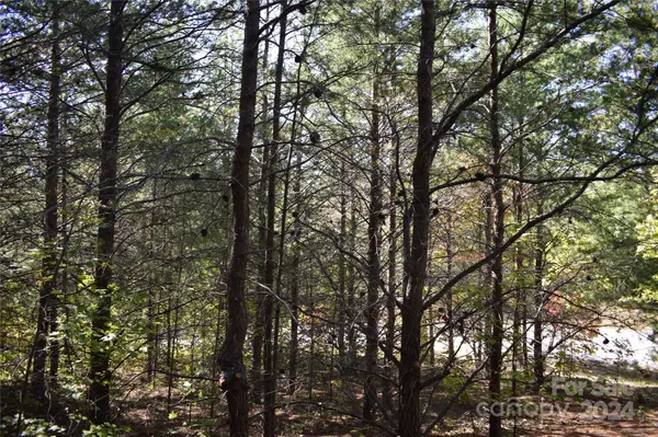 0 Holland DR #3, Columbus, NC 28722