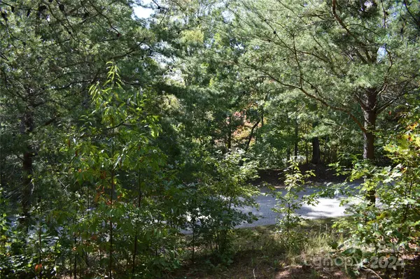 0 Holland DR #3, Columbus, NC 28722