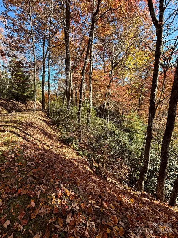 Lot 33 Coppermine RDG #33, Whittier, NC 28789