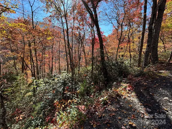 Lot 33 Coppermine RDG #33, Whittier, NC 28789