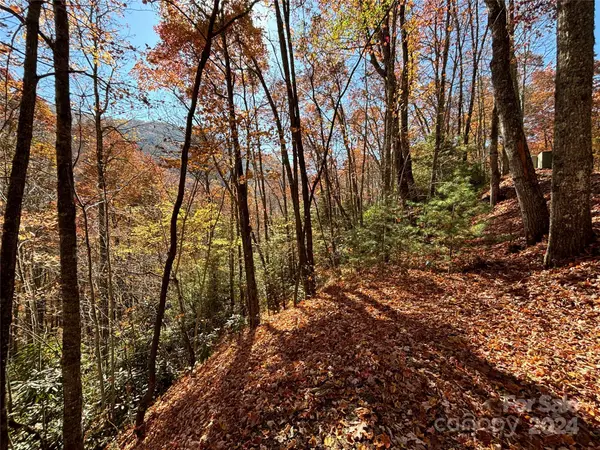 Lot 33 Coppermine RDG #33, Whittier, NC 28789