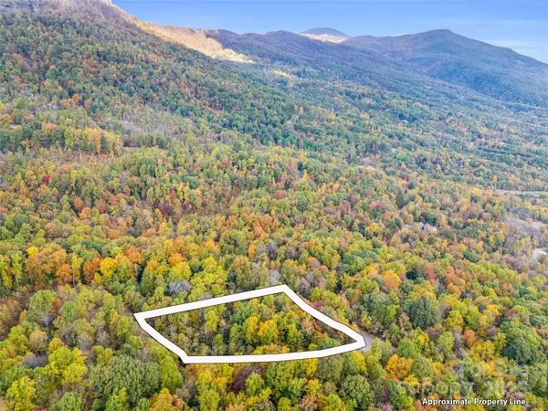 2140 Harm Creek LOOP, Mill Spring, NC 28756