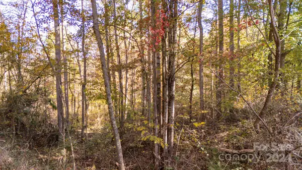 00 N Pinnacle DR #3, Weaverville, NC 28787