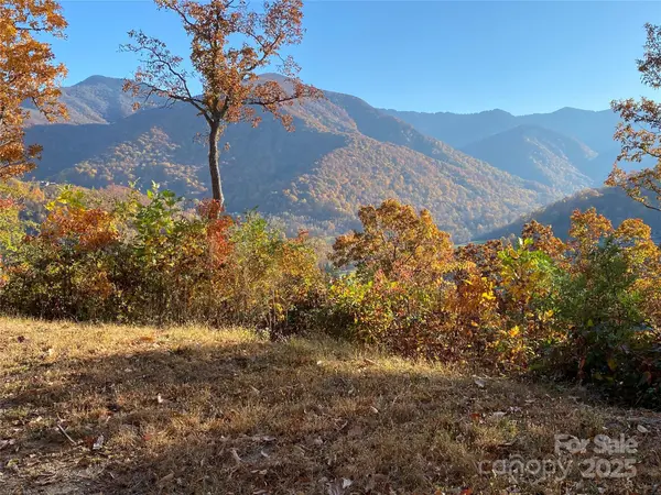 40 Cougar LN #13,14,15,16, Maggie Valley, NC 28751