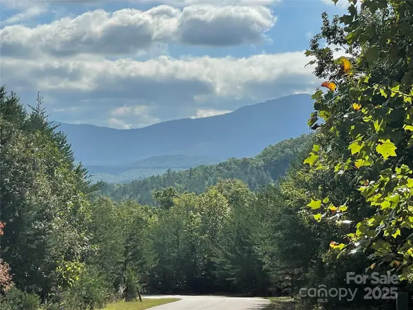 00 Birkdale DR #159, Mill Spring, NC 28756