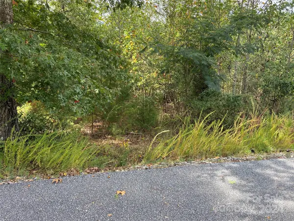 0 Willow Top LN #311, Lake Lure, NC 28746