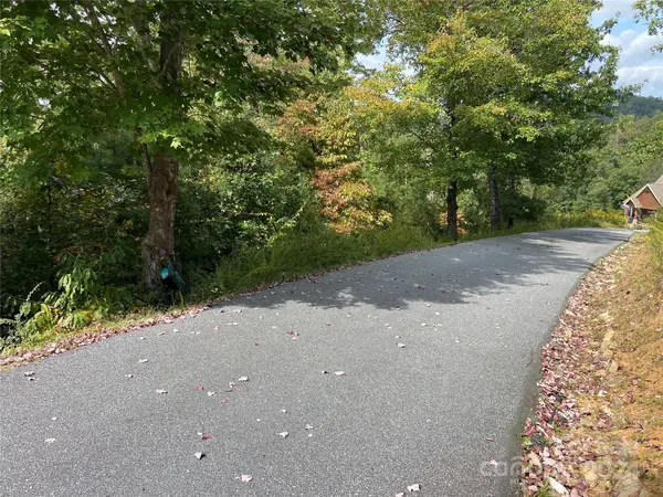 0 Willow Top LN #311, Lake Lure, NC 28746