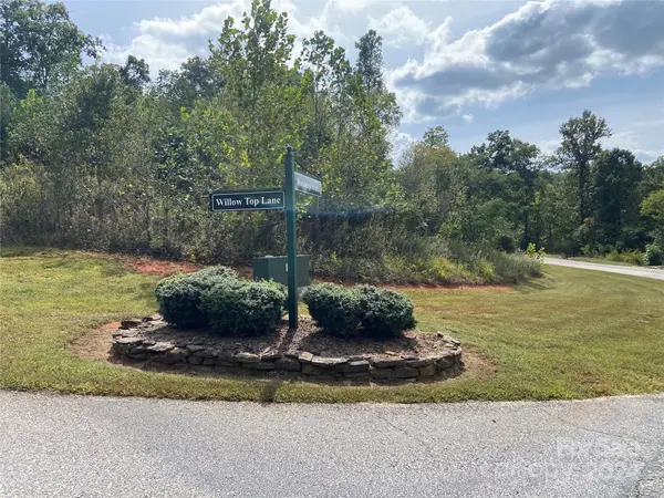 0 Willow Top LN #311, Lake Lure, NC 28746
