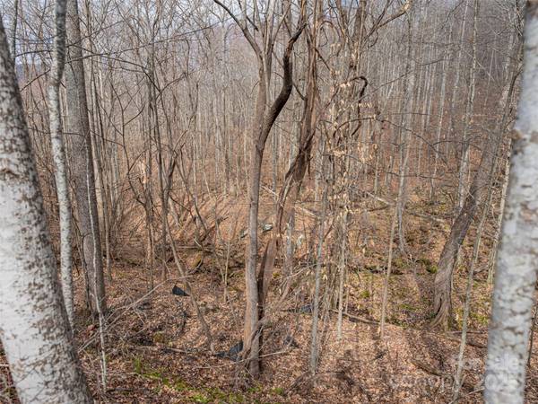 522 & 528 Blue Mist WAY, Arden, NC 28704