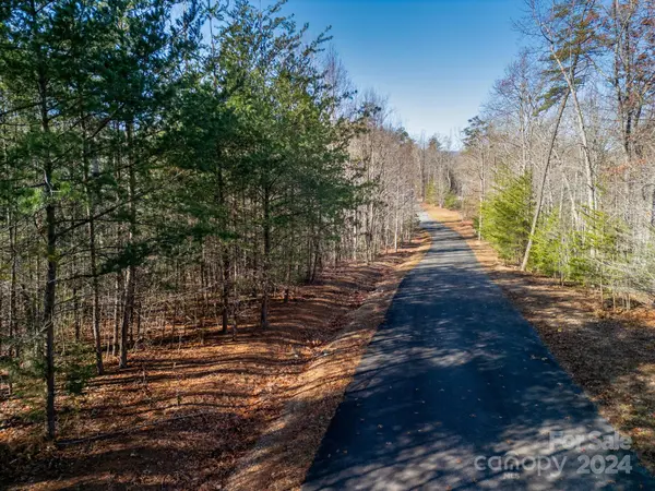 0 Forest Country DR #60, Marion, NC 28752