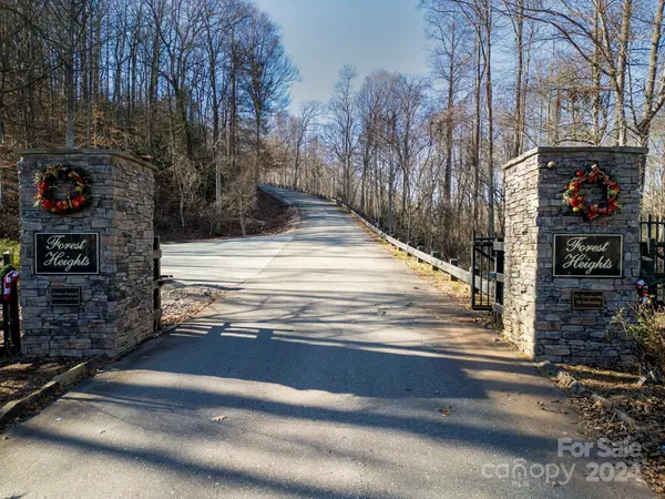 0 Forest Country DR #60, Marion, NC 28752