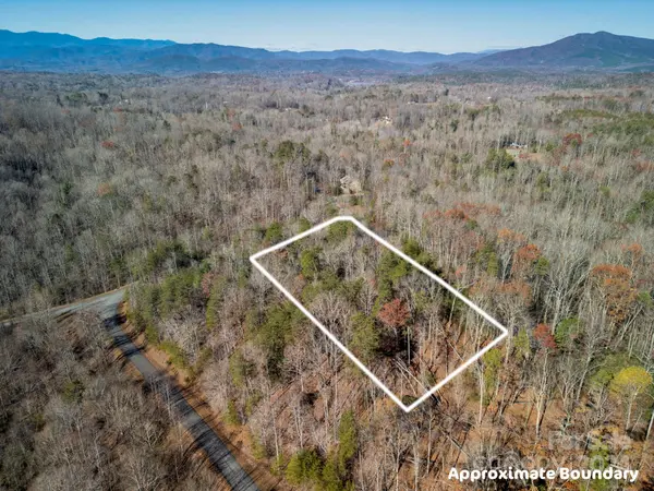 0 Forest Country DR #60, Marion, NC 28752