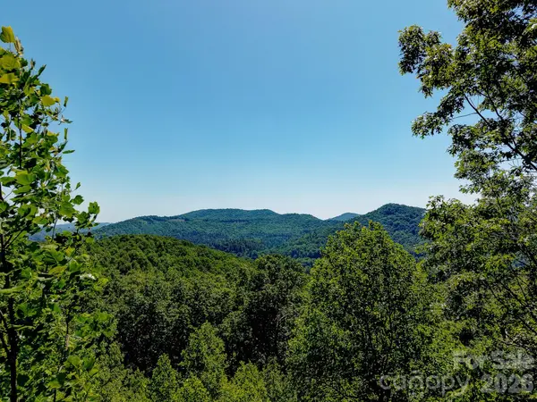 99999 Black Bear Ridge TRL, Zirconia, NC 28790