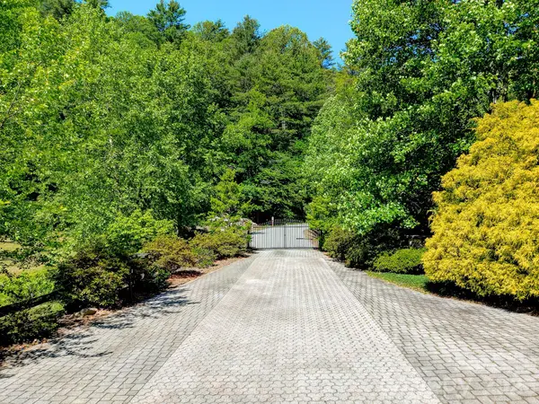 99999 Black Bear Ridge TRL, Zirconia, NC 28790