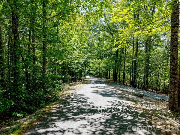 99999 Black Bear Ridge TRL, Zirconia, NC 28790