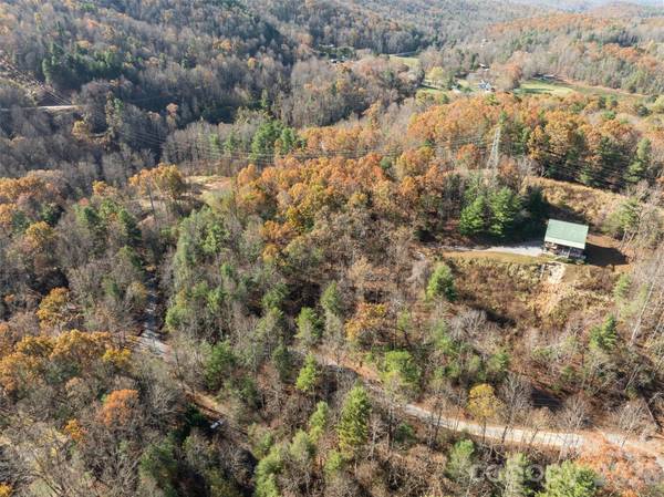 99999 Big Raven LN, Saluda, NC 28773
