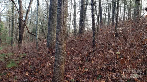 TBD Cedar LN, Brevard, NC 28712