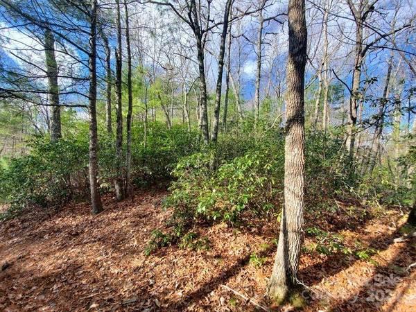 TBD Elkins RD #22, Bakersville, NC 28705