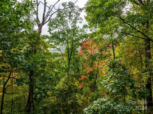 26 Wedgewood TER, Black Mountain, NC 28711