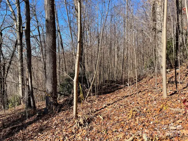 9999-1 Nesbitt Chapel RD, Fairview, NC 28730