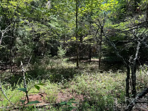 00 Gilbert RD, Vale, NC 28168