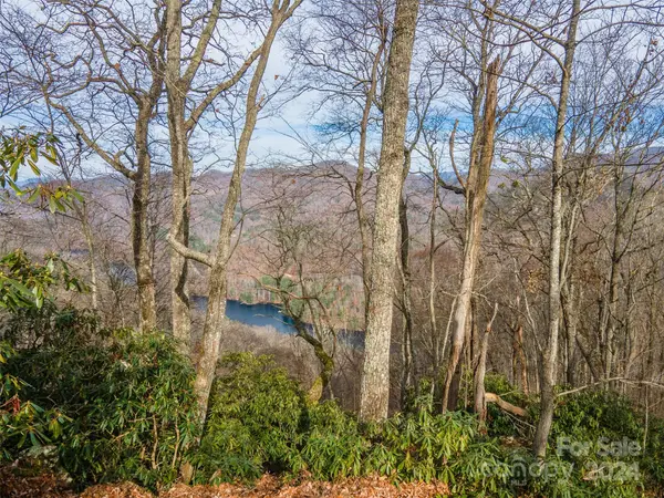 520 Morningside DR #51, Tuckasegee, NC 28783