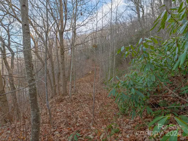 99999 Stonecrest DR #A, B, Asheville, NC 28803
