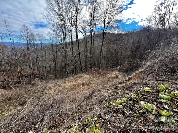 4 and 4b Salisbury CV, Waynesville, NC 28785