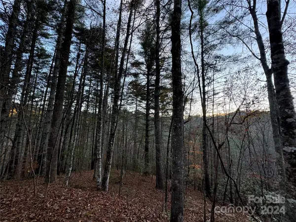 00 Sky Ridge DR, Bryson City, NC 28713