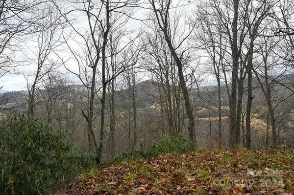 19 Flowing Hills DR #19, 20, Clyde, NC 28721