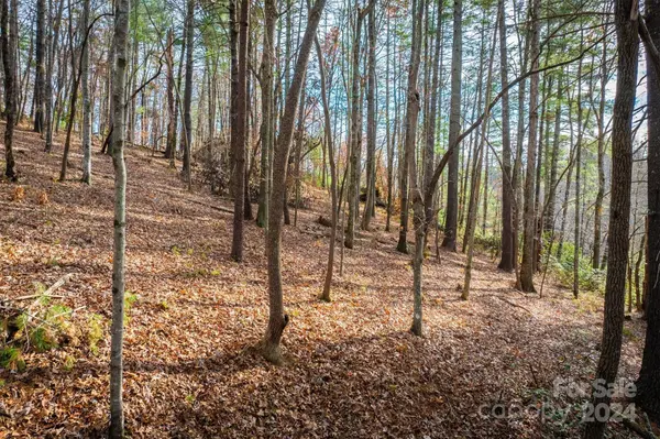 133 James Bob Stafford DR, Nebo, NC 28601