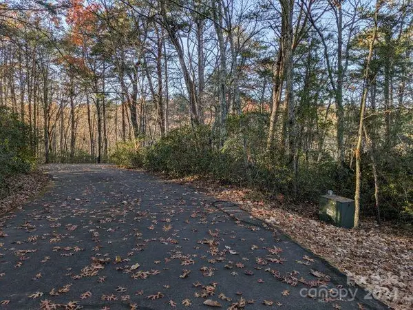 Lot 59 & 60 Willow LN, Columbus, NC 28722