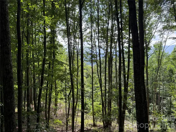 146 E Clubhouse RD #99, Sylva, NC 28779