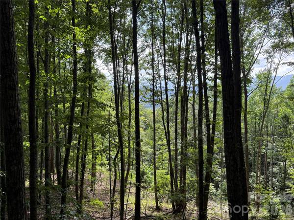 146 E Clubhouse RD #99, Sylva, NC 28779