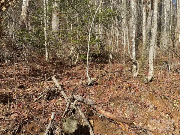 0 Gospel DR, Sylva, NC 28779