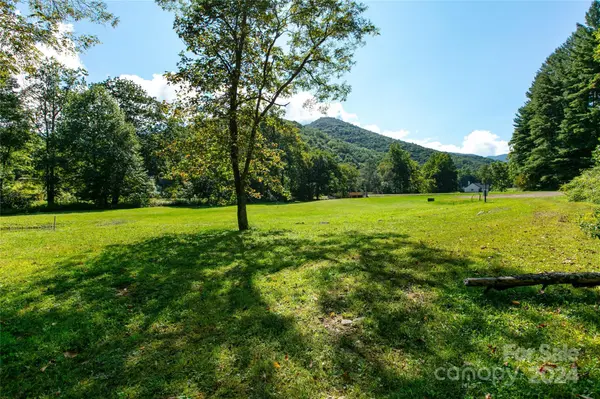 00000 Scout TRL #14, Canton, NC 28716