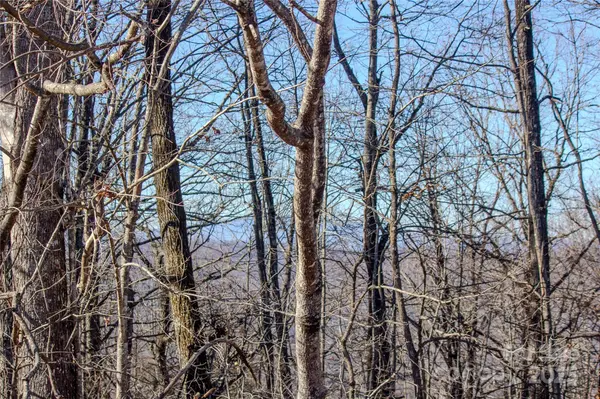 2206 Nighthawk Ridge CT #27, Lenoir, NC 28645