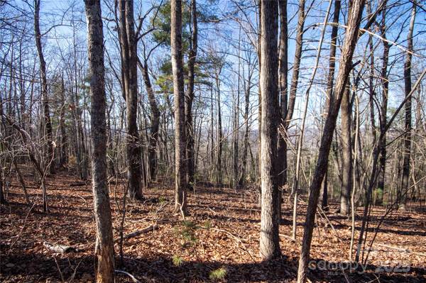 2206 Nighthawk Ridge CT #27, Lenoir, NC 28645