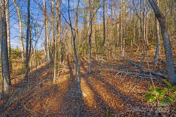 99999 Willow Creek DR #1, Asheville, NC 28803