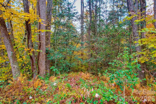 00 Grandin RD #2, Lenoir, NC 28645