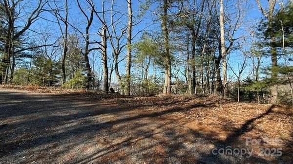0 Bird Dog BLVD, Lake Lure, NC 28746
